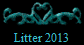 Litter 2013