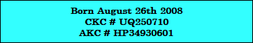 Born August 26th 2008
CKC # UQ250710
AKC # HP34930601