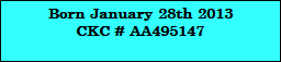 Born January 28th 2013
CKC # AA495147