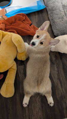 449997614_1044405003866901_6663567388195534038_n