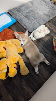 454119111_881393367383053_4756335867609882091_n