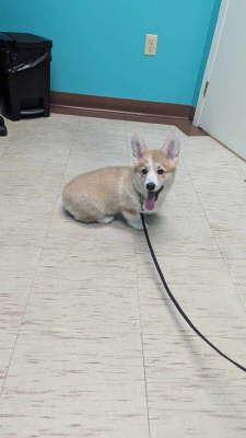 received_1038346281320164