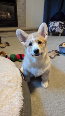 received_1456025948433878