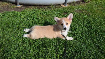 received_3598987367080864