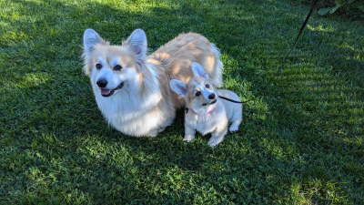 received_501268145945941