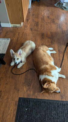 received_822592126393087