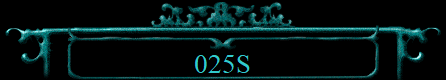 025S