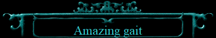 Amazing gait