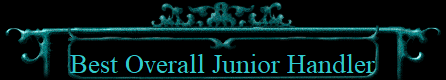 Best Overall Junior Handler