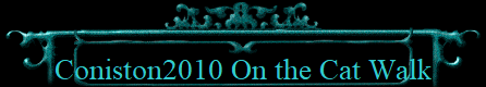 Coniston2010 On the Cat Walk