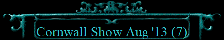 Cornwall Show Aug '13 (7)
