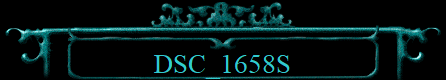 DSC_1658S