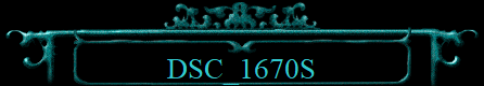 DSC_1670S
