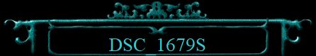 DSC_1679S