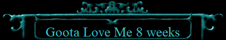 Goota Love Me 8 weeks