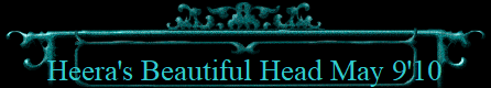 Heera's Beautiful Head May 9'10