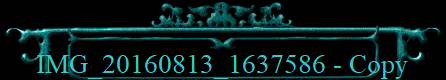 IMG_20160813_1637586 - Copy