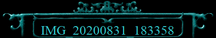 IMG_20200831_183358