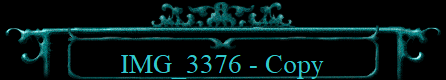 IMG_3376 - Copy