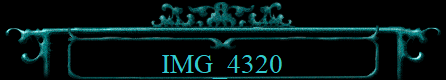 IMG_4320