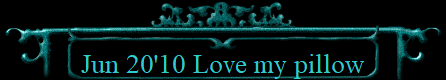 Jun 20'10 Love my pillow