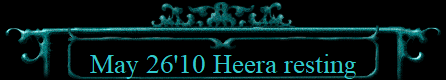 May 26'10 Heera resting