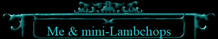 Me & mini-Lambchops