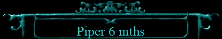 Piper 6 mths