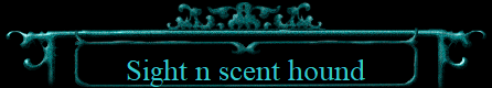 Sight n scent hound