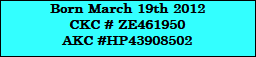 Born March 19th 2012
CKC # ZE461950
AKC #HP43908502