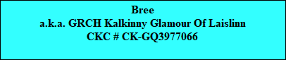 Bree
a.k.a. GRCH Kalkinny Glamour Of Laislinn
CKC # CK-GQ3977066