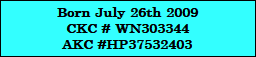 Born July 26th 2009
CKC # WN303344
AKC #HP37532403