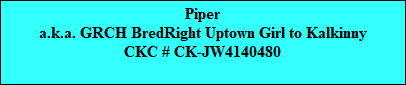 Piper
a.k.a. GRCH BredRight Uptown Girl to Kalkinny
CKC # CK-JW4140480
