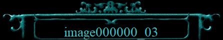 image000000_03