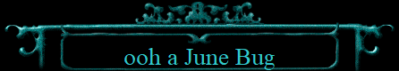 ooh a June Bug