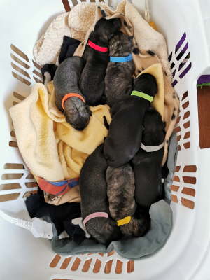 -5473588425837837732