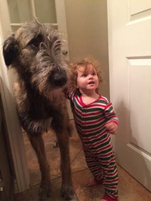 15826198_10154758631846420_2478072894362706482_n - Copy - Copy - Copy