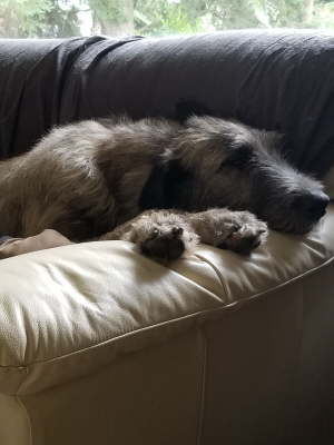 20180813_184925 - Copy