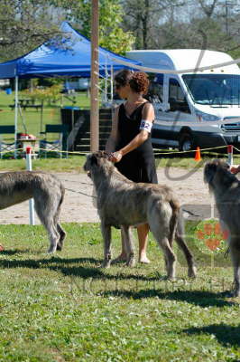 41934228_10155562106266021_7493069746410094592_n