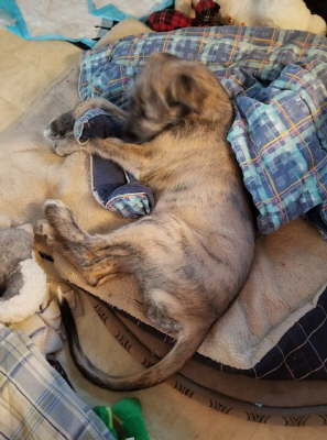 74680685_10219462745106694_1513476394129031168_o