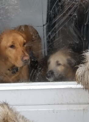 74911752_1260648714122605_5717119852053790720_n