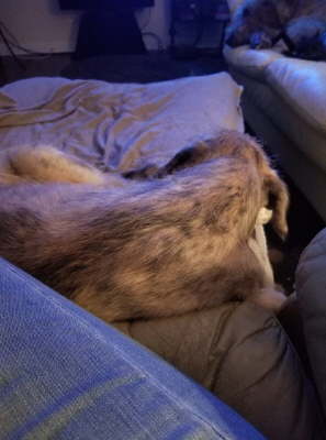 75348901_10219424752516903_1548908401147248640_o