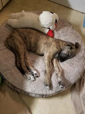 75369102_10219484211163332_2778833339316961280_o