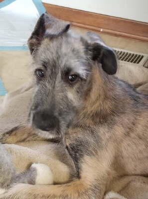 78646699_10219527308160730_1899303828998586368_o