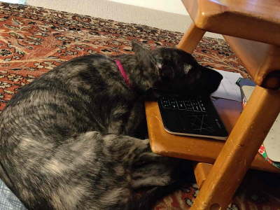 Attach26636_20191106_1851003