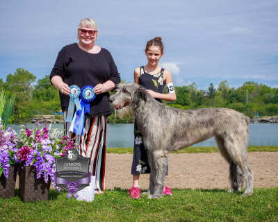 Best Overall Junior Handler