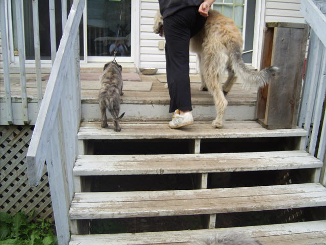 Breezing up those steps Jun 19'10