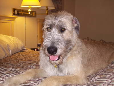 Briggs Markham Motel Relaxing