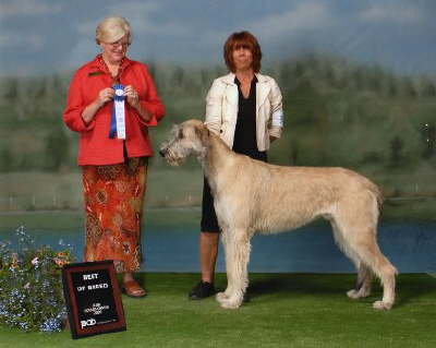 Briggs' Win again in Beauport2009