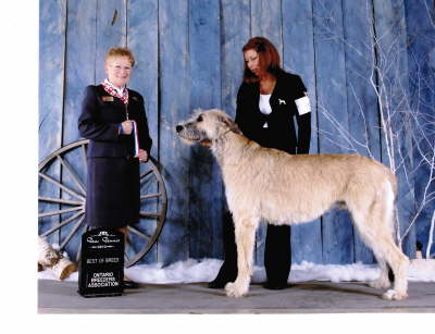 Briggs' Win in Markham Feb2010